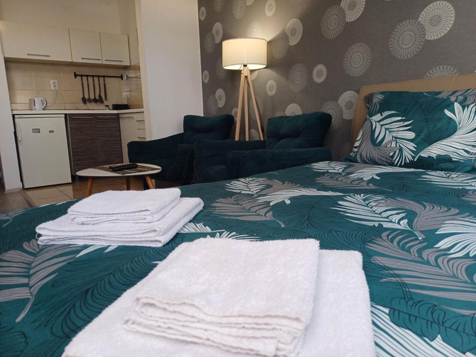 Apartment Centrum - Free Private Parking Novi Sad Esterno foto